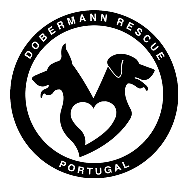dobermann rescue portugal